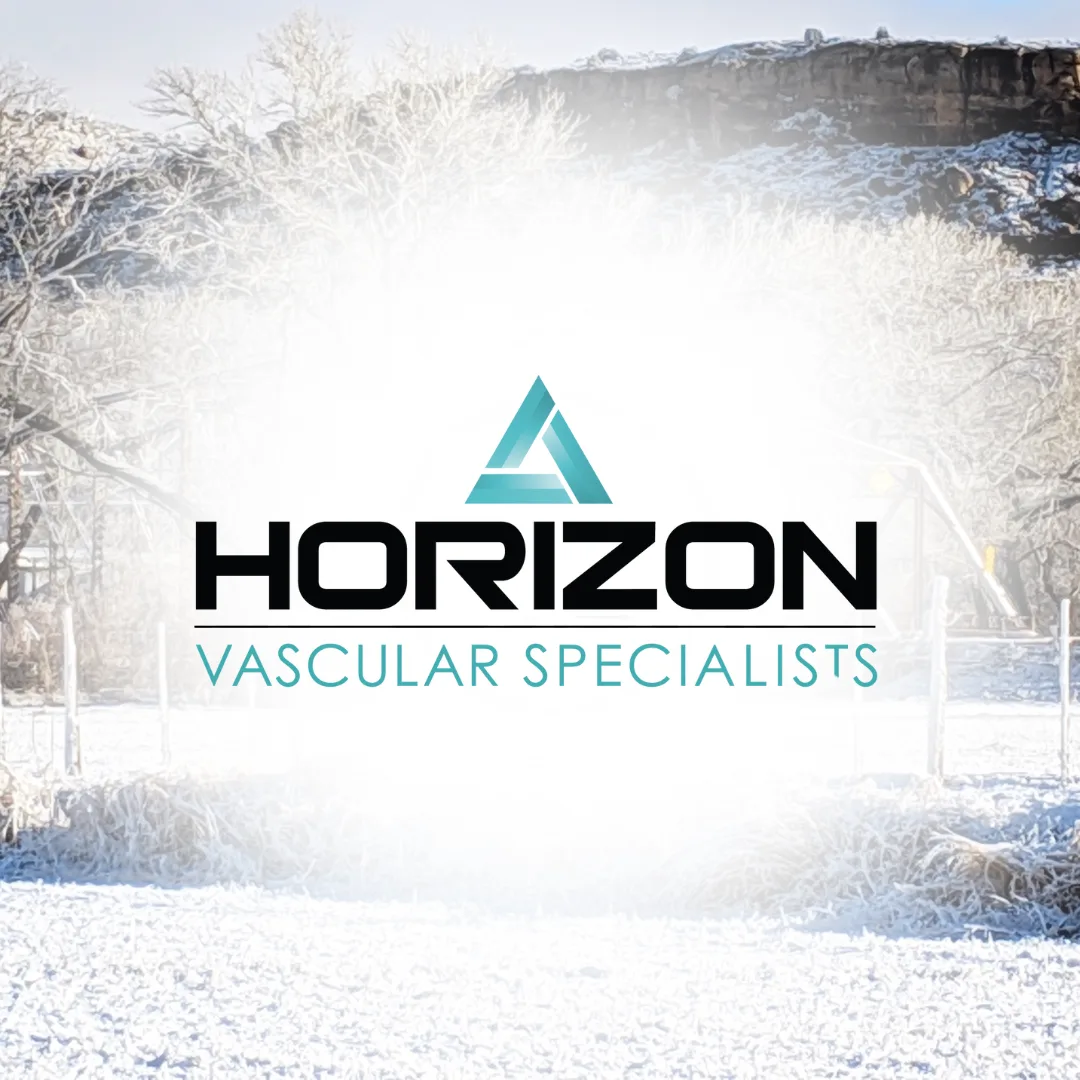 Thumbnail image of Horizon Vascular Specialists page